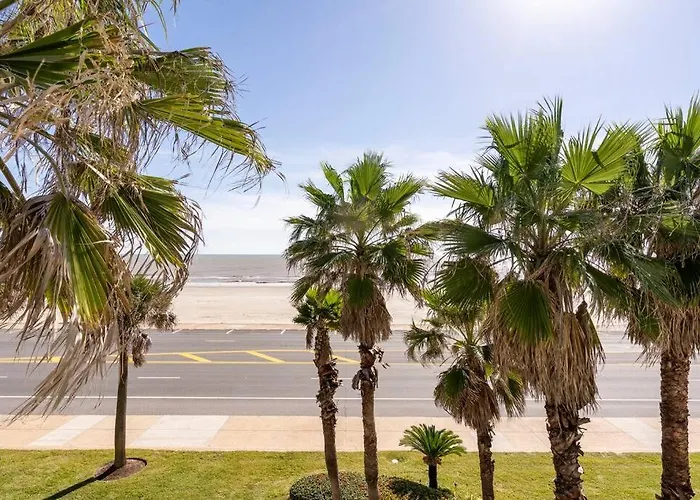 Oceanfront At The Dawns